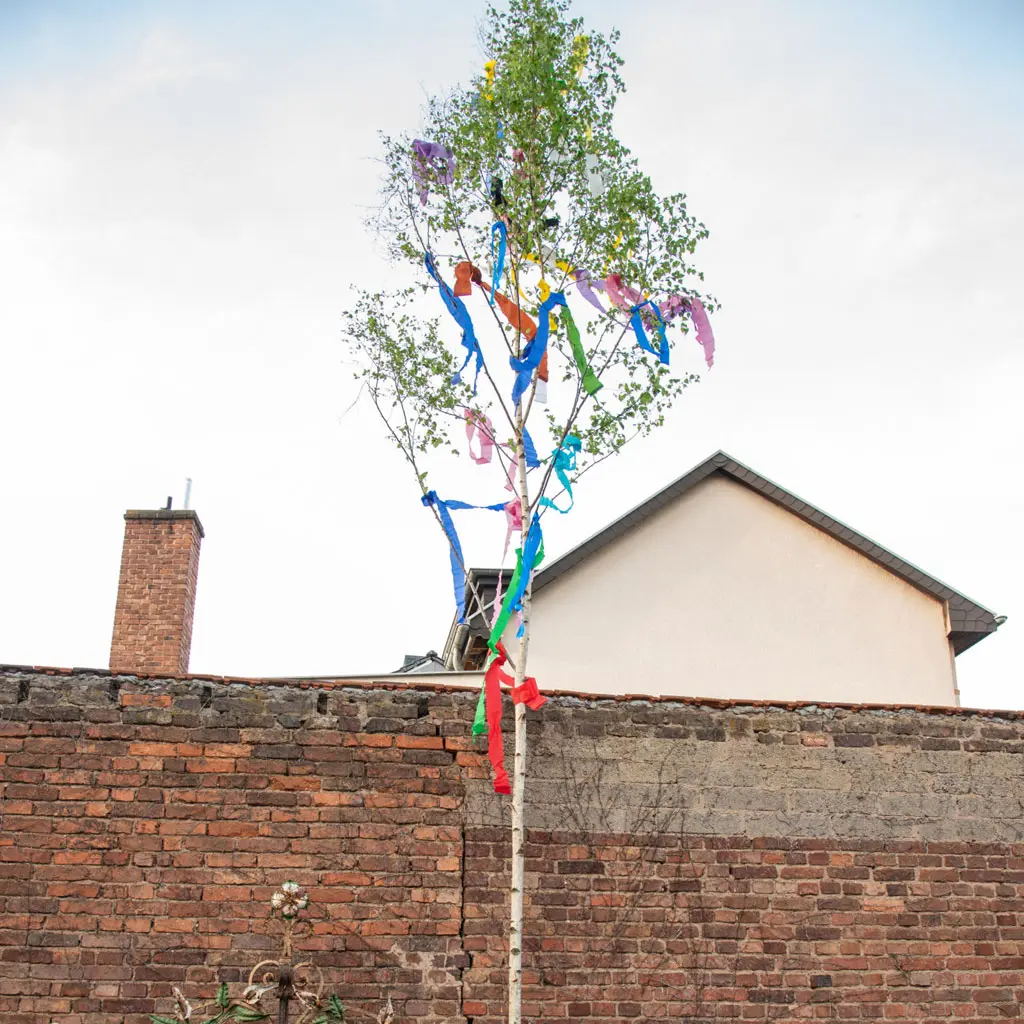 Maibaum- Kultur und Brauchtum- HVV Lengsdorf Maibaum- Kultur und Brauchtum- HVV Lengsdorf