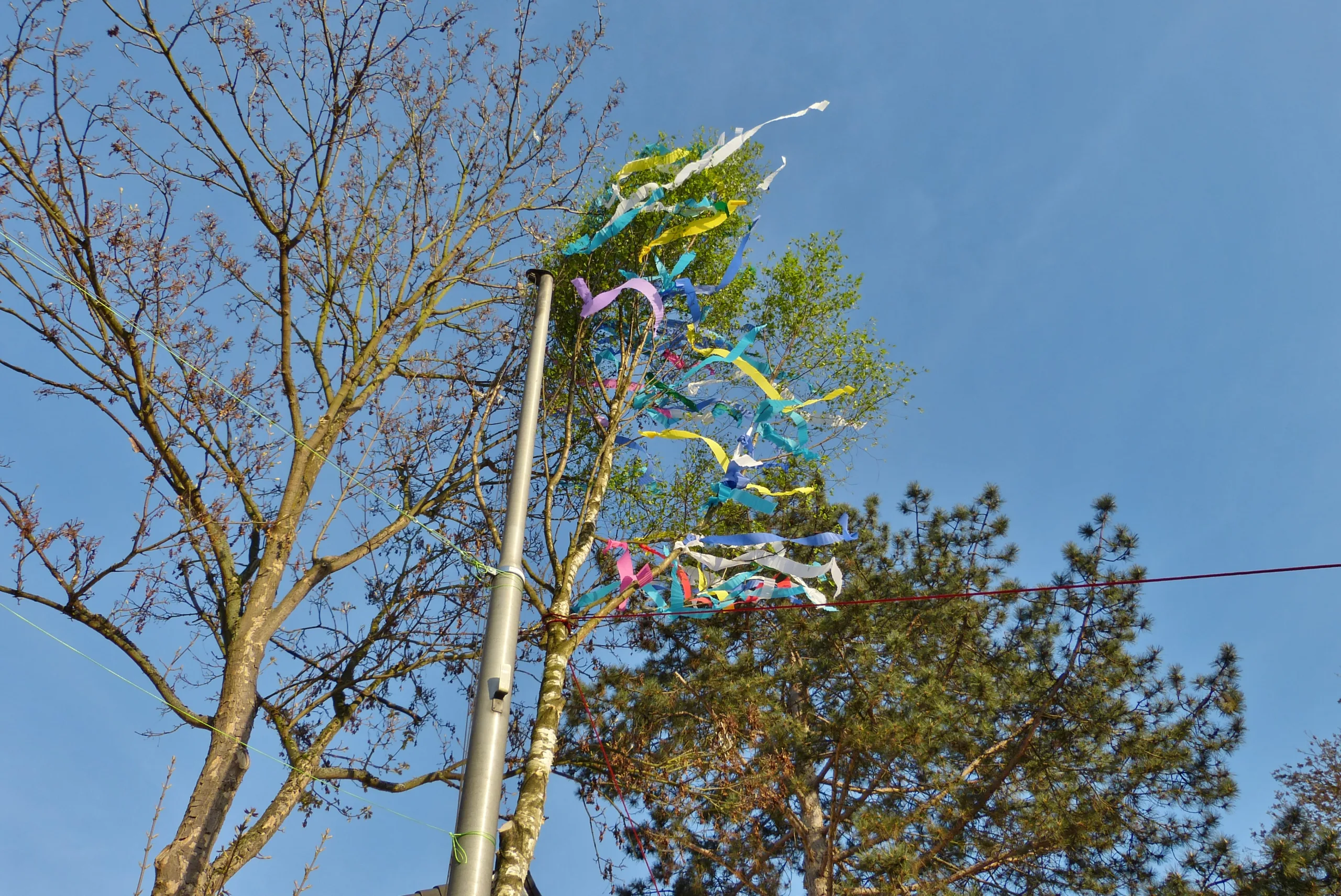 Maifest 2017 Lengsdorf-27